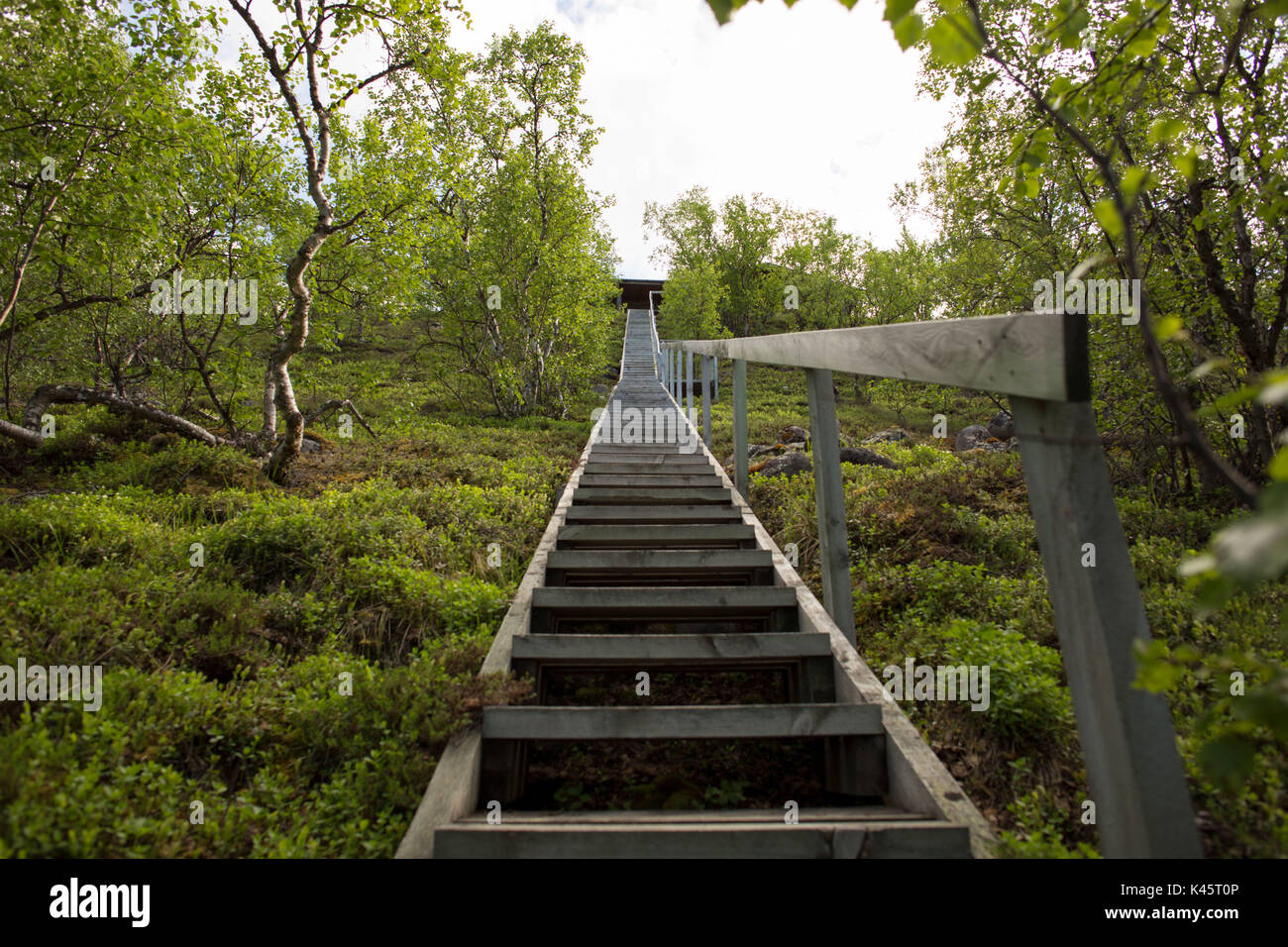 Hundred steps to the cottage from the Tana river, Utsjoki, Lapland Stock Photo