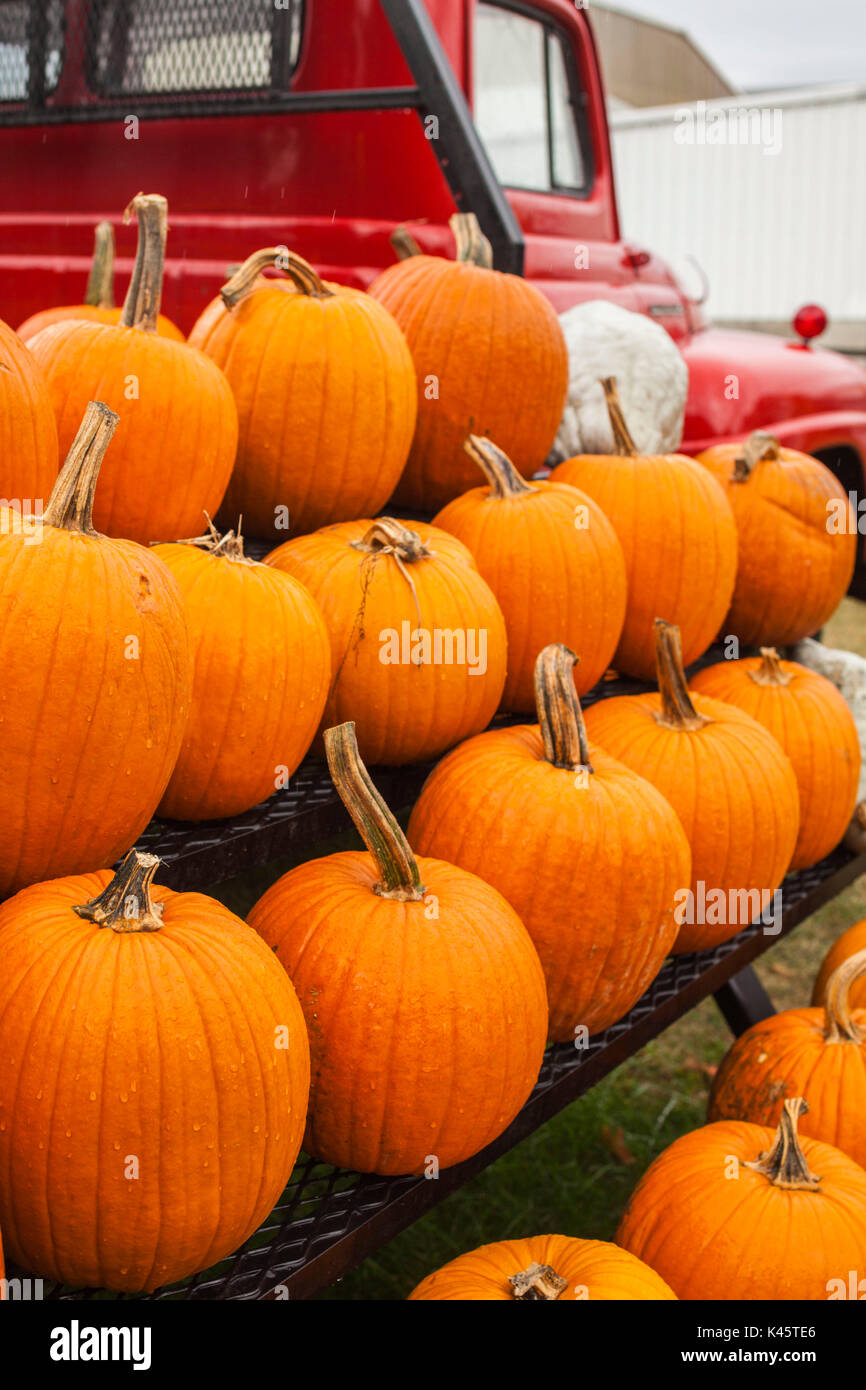 Truck with autumn pumpkins hires stock photography and images Alamy