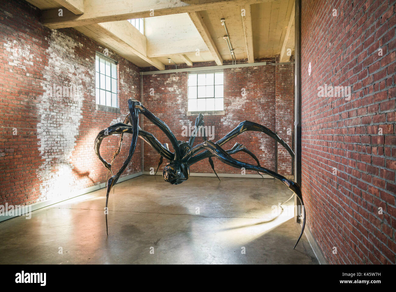 USA, New York, Hudson Valley, Beacon, DiaBeacon Riggio Galleries, Louise Bourgeois, Crouching