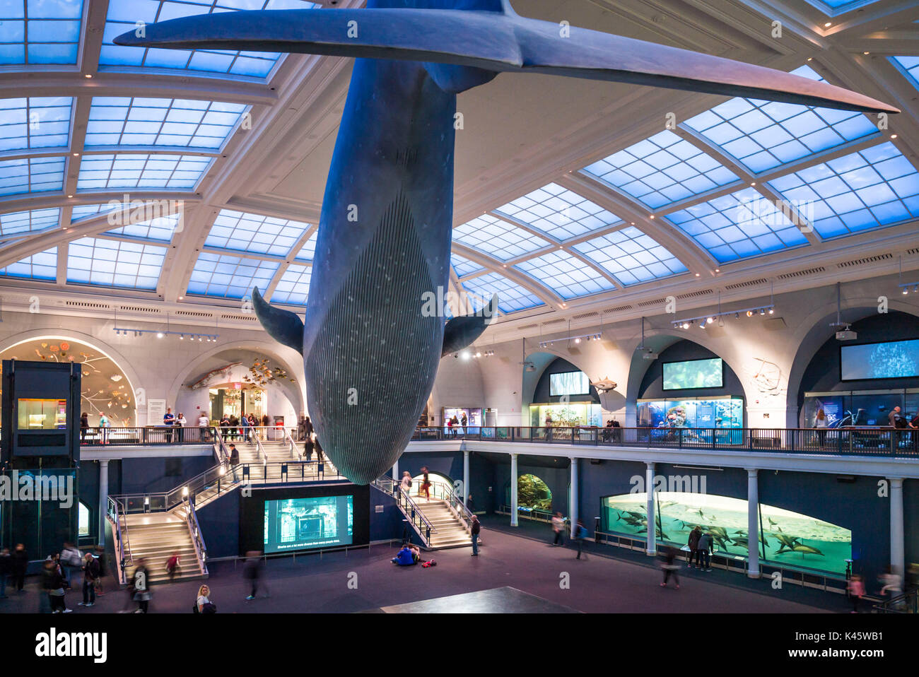 New york ny nyc new york city atlantic ocean hires stock photography