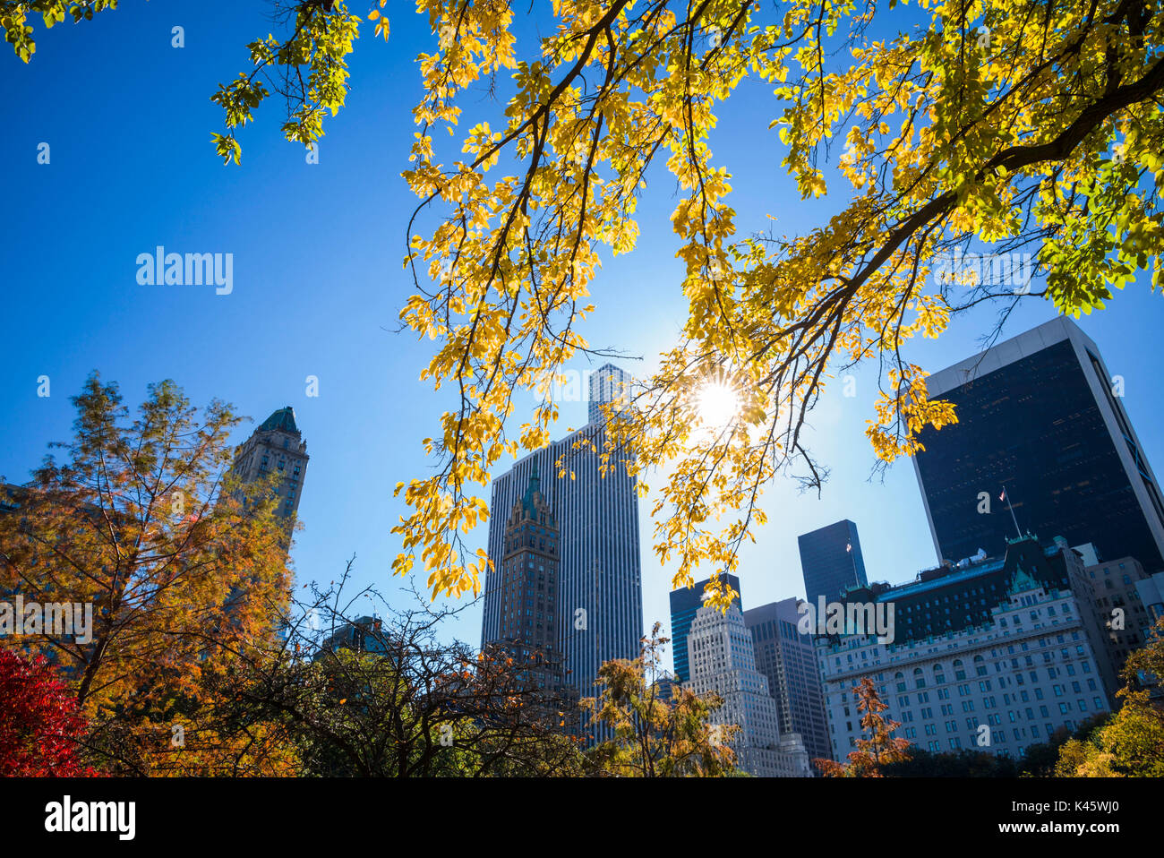 USA, New York, New York City, Central Park, Fifth Avenue buildings from Central Park, autumn Stock Photo