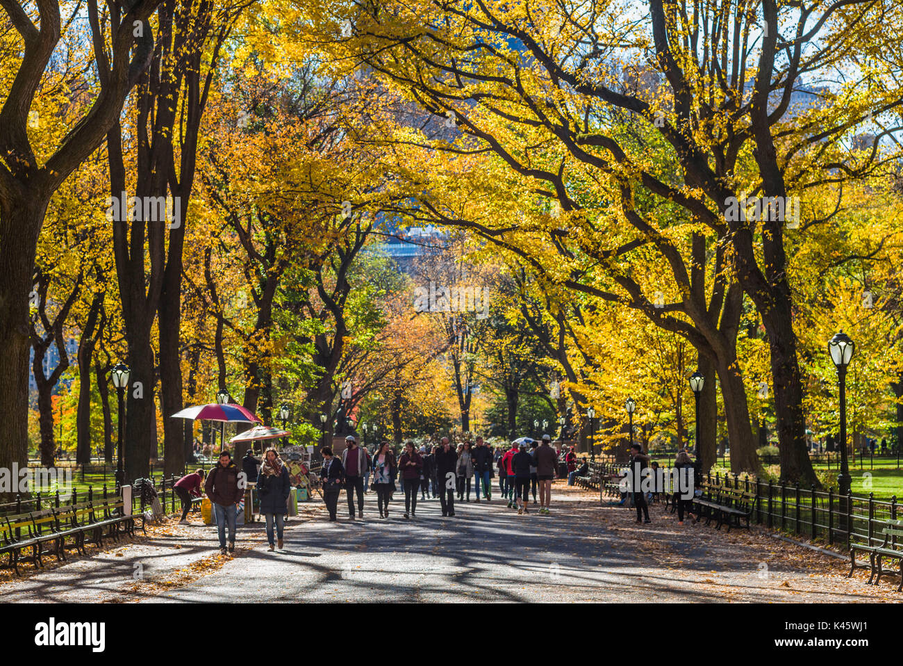 USA, New York, New York City, Central Park, The Mall, autumn Stock Photo