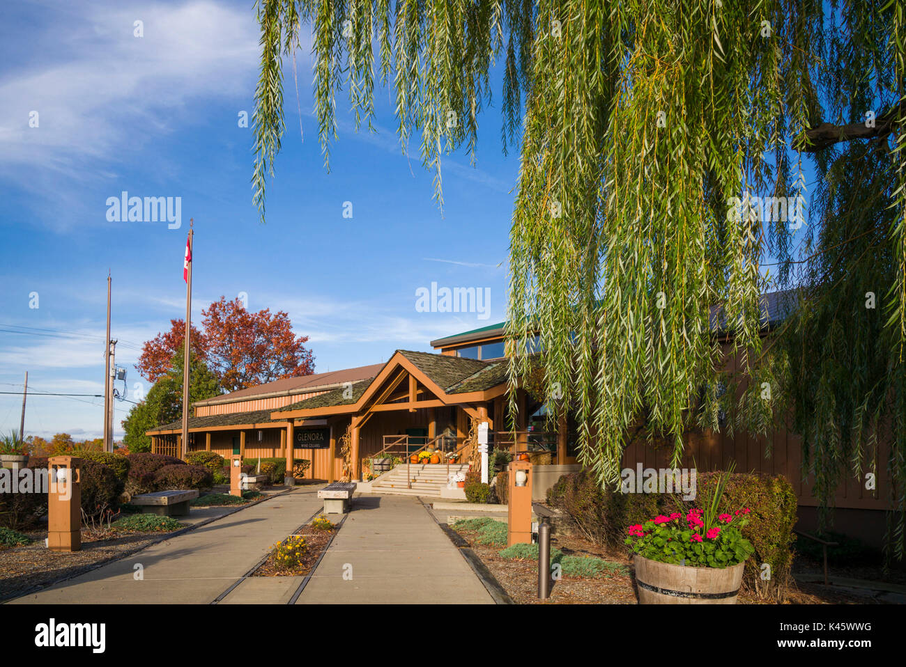 USA, New York, Finger Lakes Region, Dundee, Glenora Wine Cellars