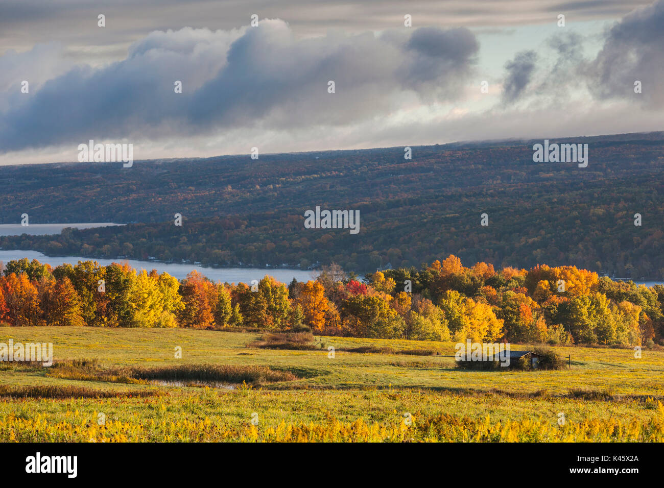 USA, New York, Finger Lakes Region, Hammondsport, Keuka Lake vineyard