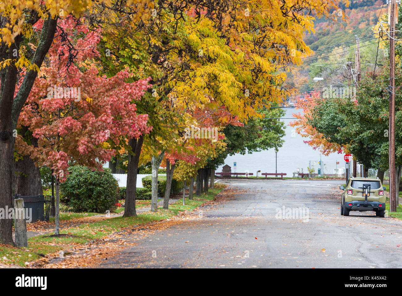 USA, New York, Finger Lakes Region, Hammondsport, village center