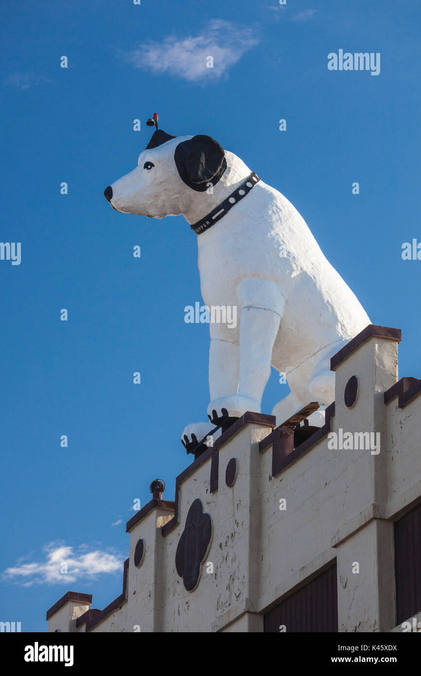 Rca dog albany hires stock photography and images Alamy