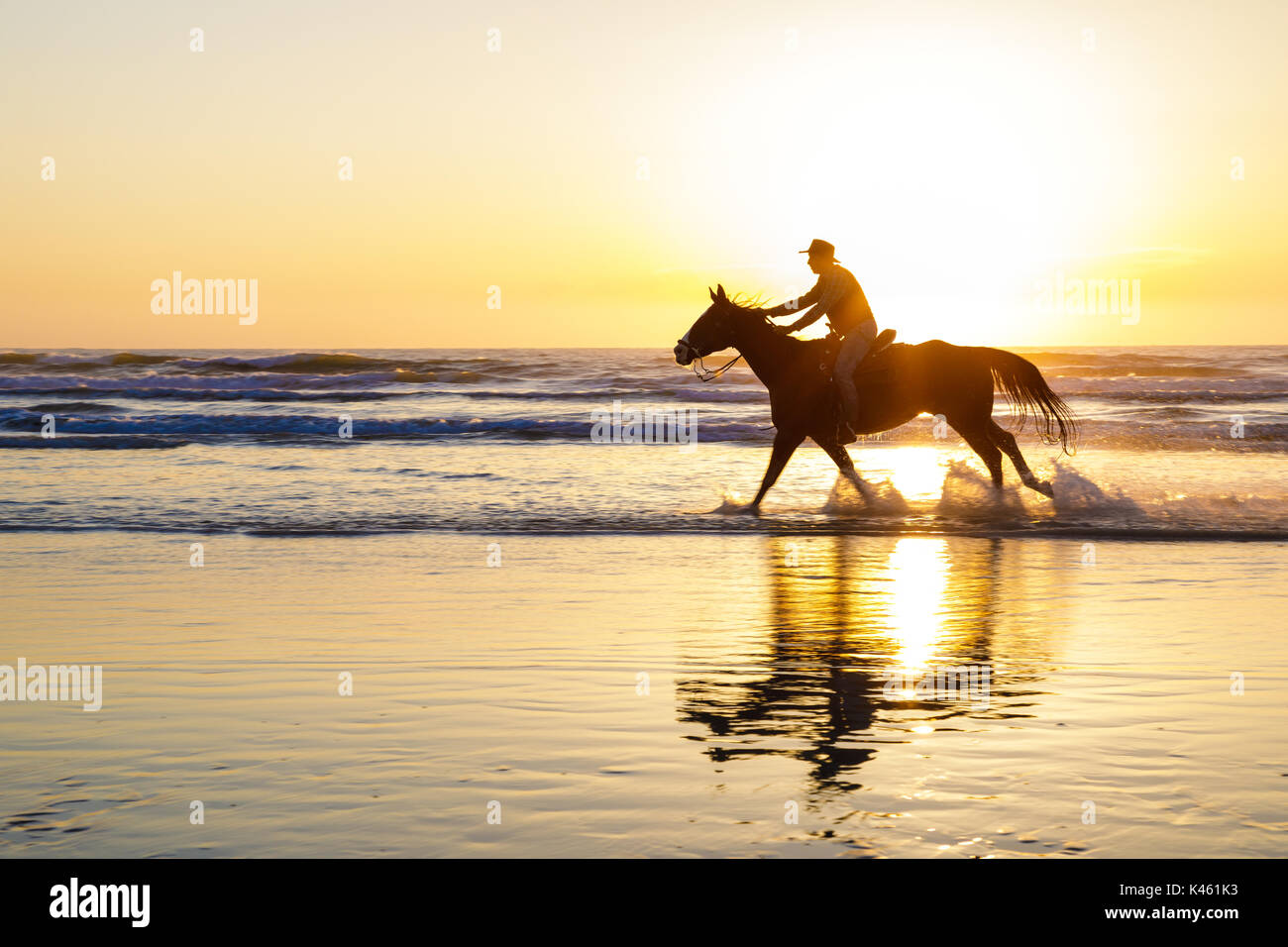 Horses in the surf, Butler Beach, St. Augustine, Florida Stock Photo ...
