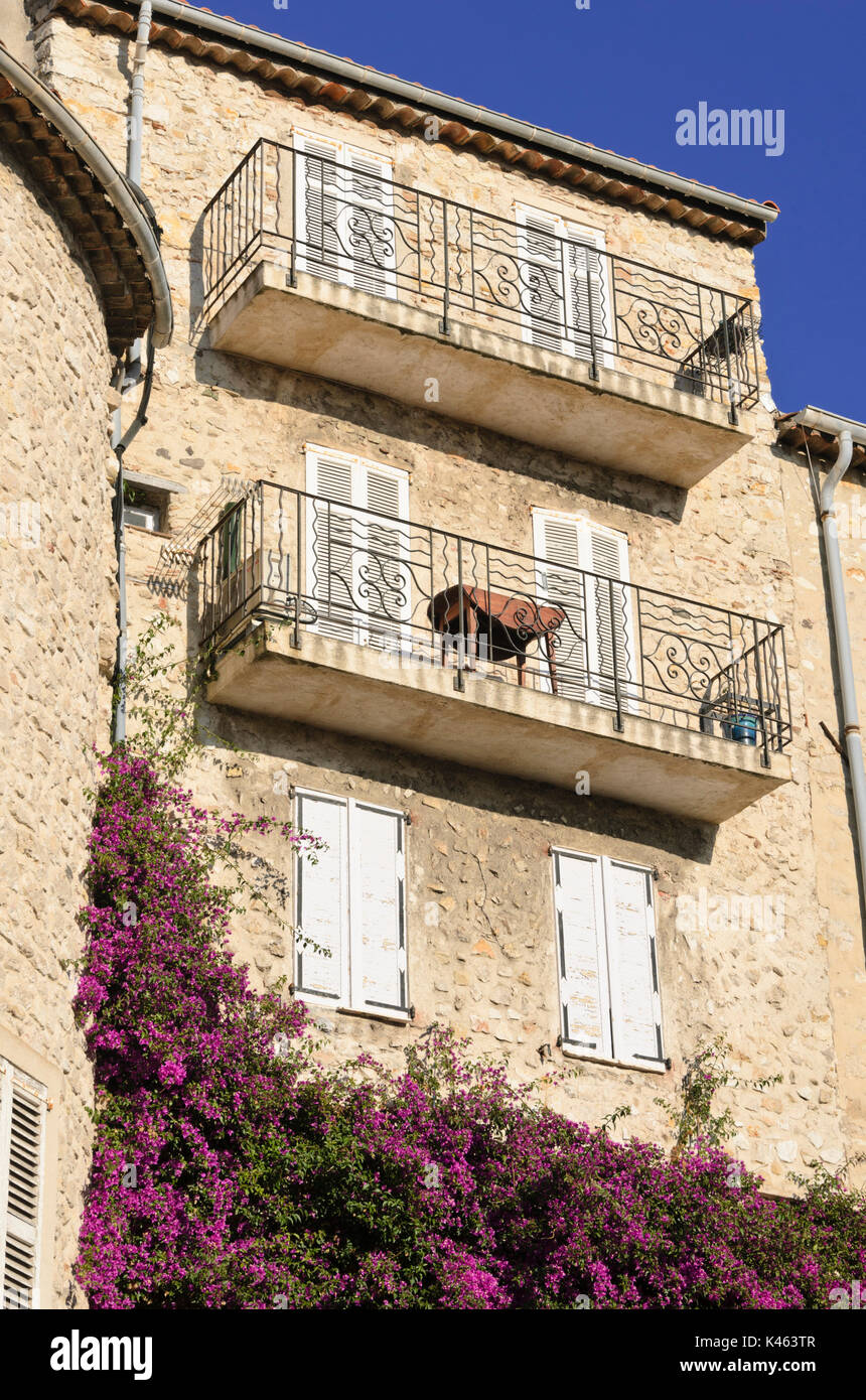 Bougainvillea at an old town house, Antibes, France Stock Photo