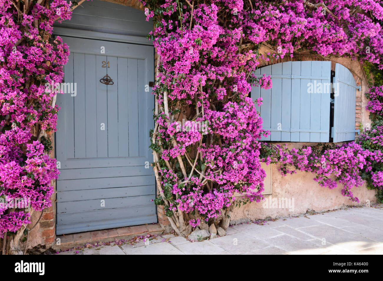 Bougainvillea at an old town house, Grimaud, France Stock Photo