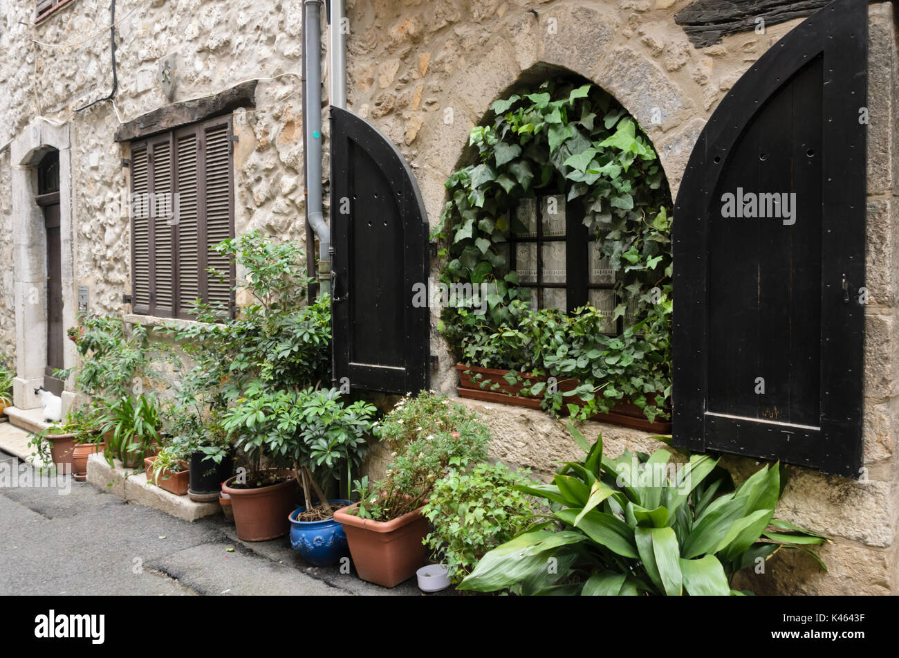 Old town house with flower pots, Vence, France Stock Photo