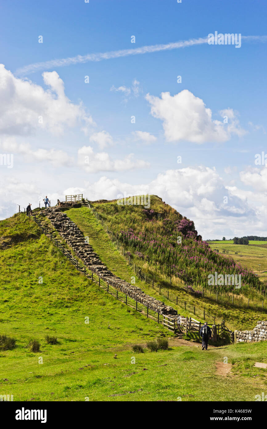 Hadrians Wall Cawfields Quarry High Resolution Stock Photography And 