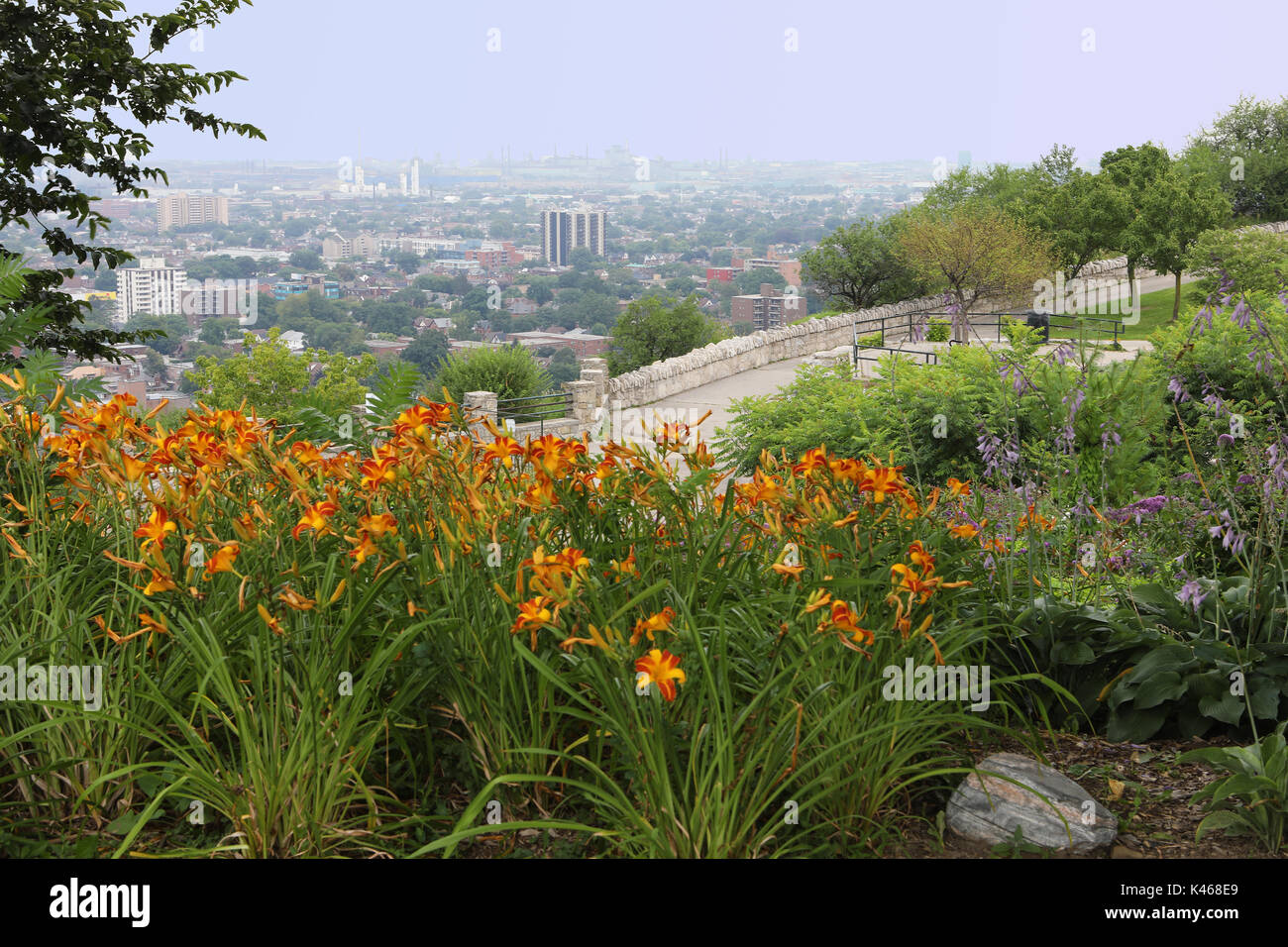 The Hamilton, Canada skyline with flowers in foreground Stock Photo Alamy