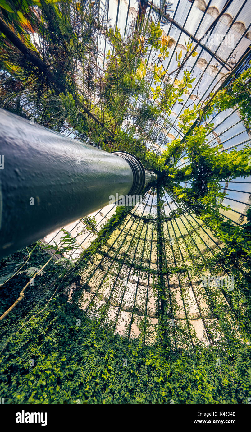 Photosyntesis hi-res stock photography and images - Alamy