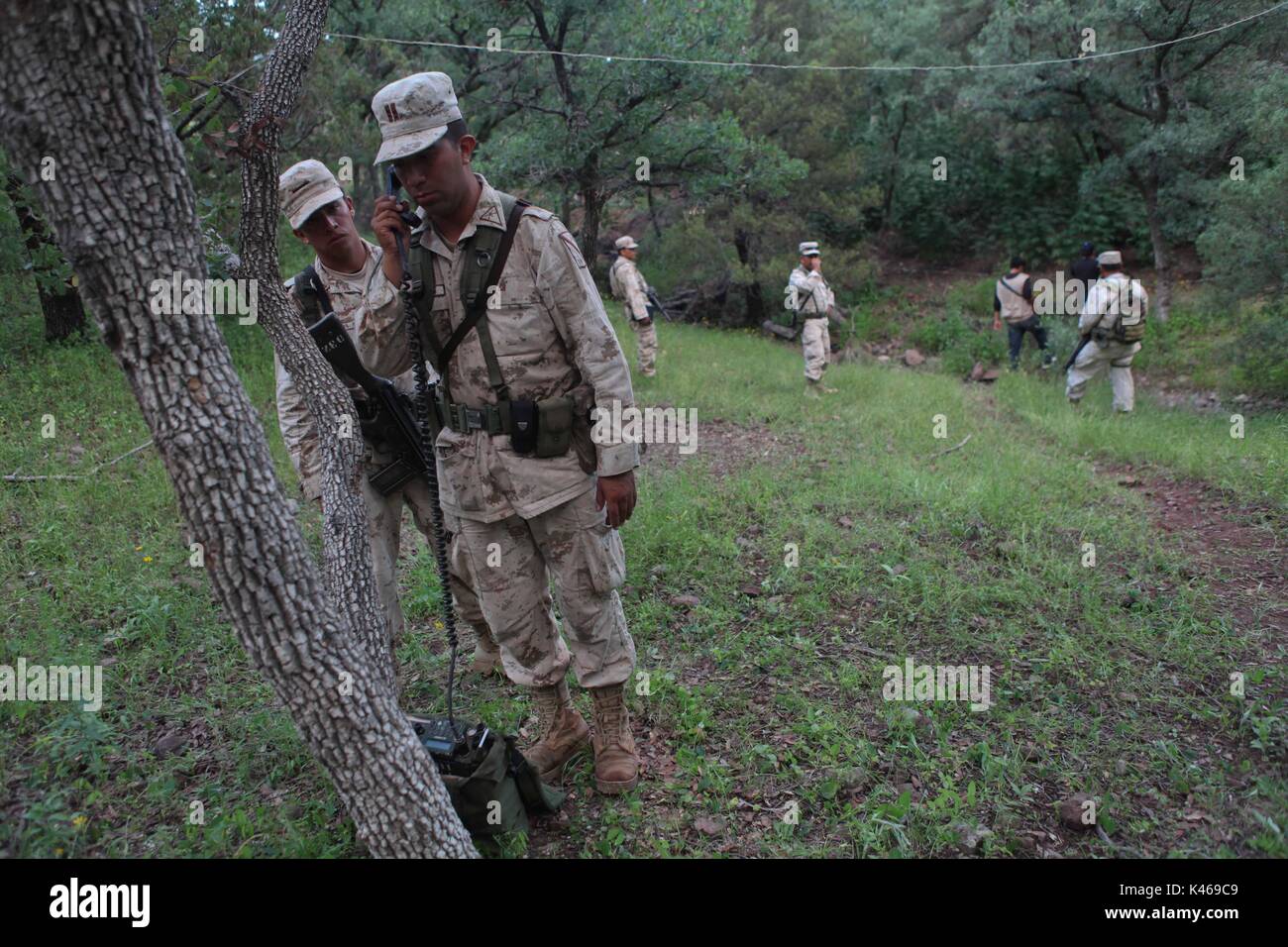 Ejercito mexicano hi-res stock photography and images - Alamy