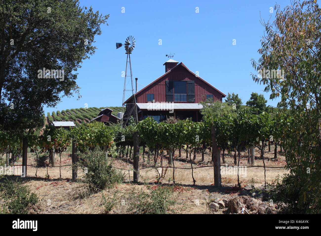 Blue Creek Winery, Napa, California Stock Photo