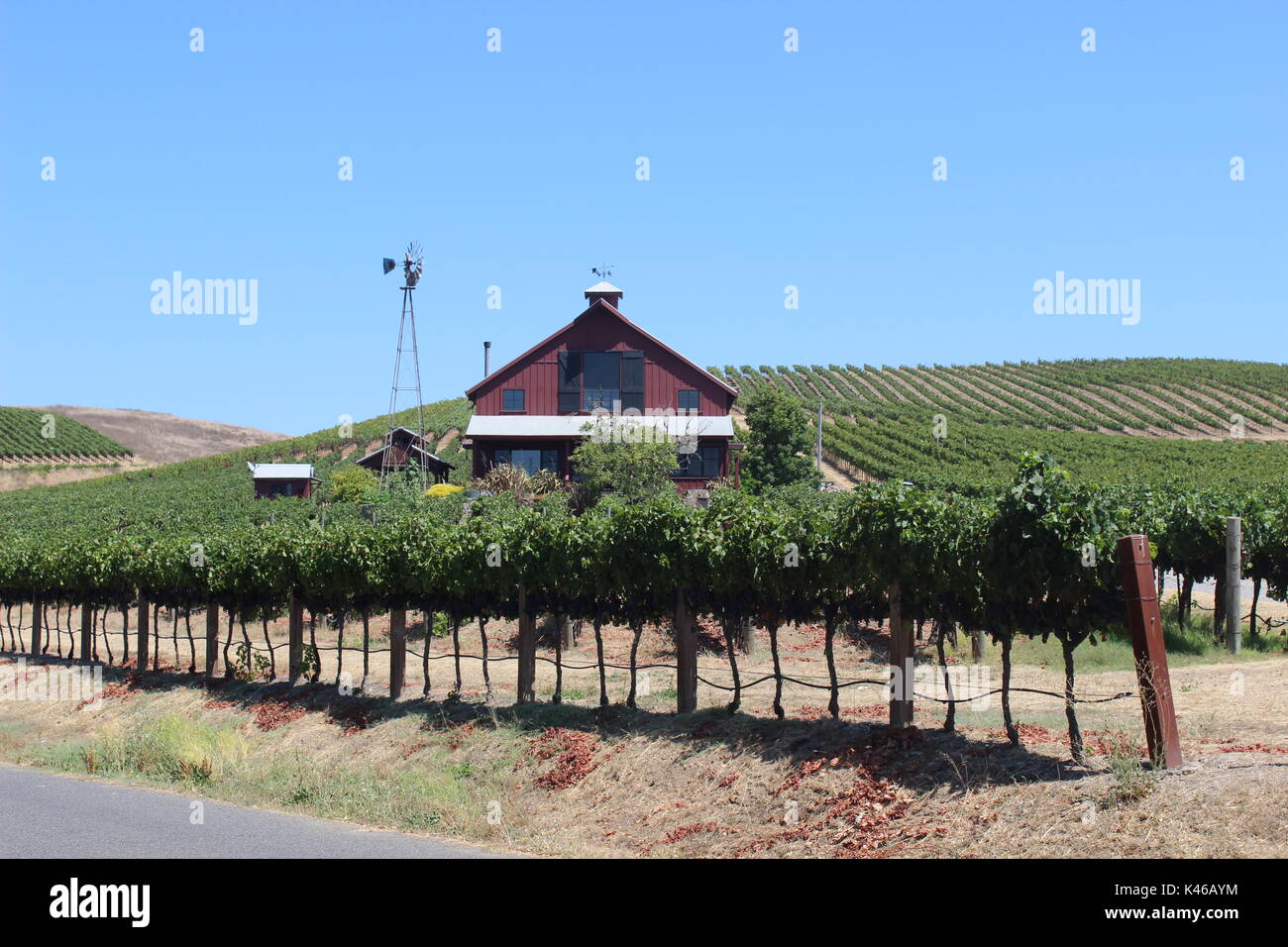 Blue Creek Winery, Napa, California Stock Photo