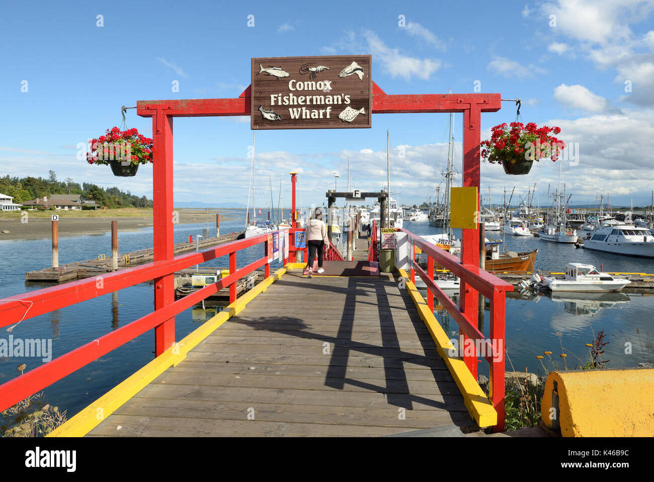 A Tourist Walking Onto The Comox Marina, Comox, Comox Valley, B.C ...