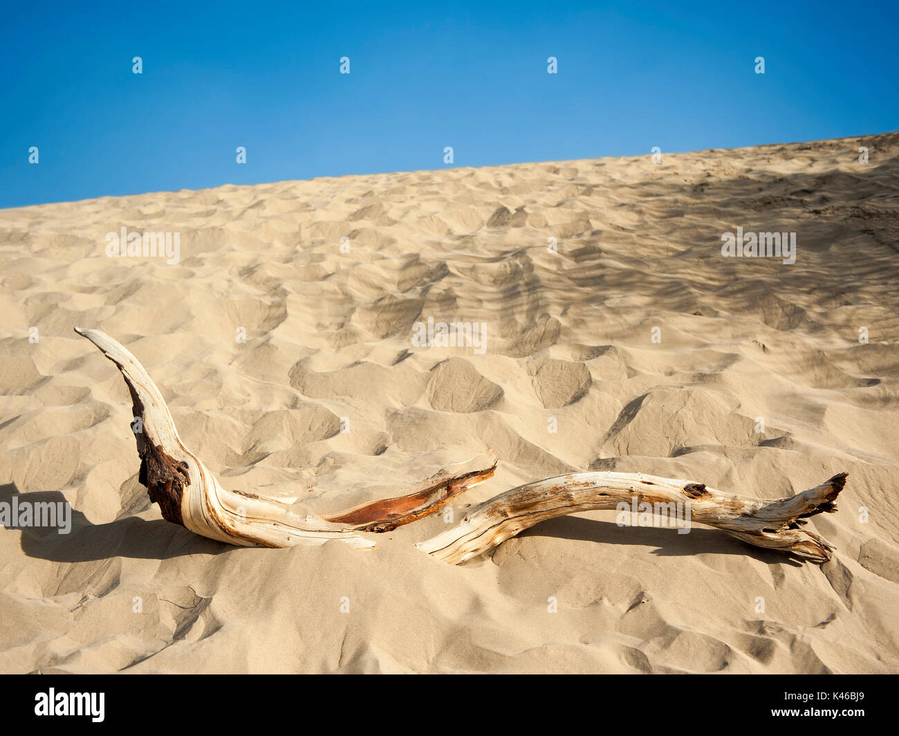 Death valley landscape hi-res stock photography and images - Alamy