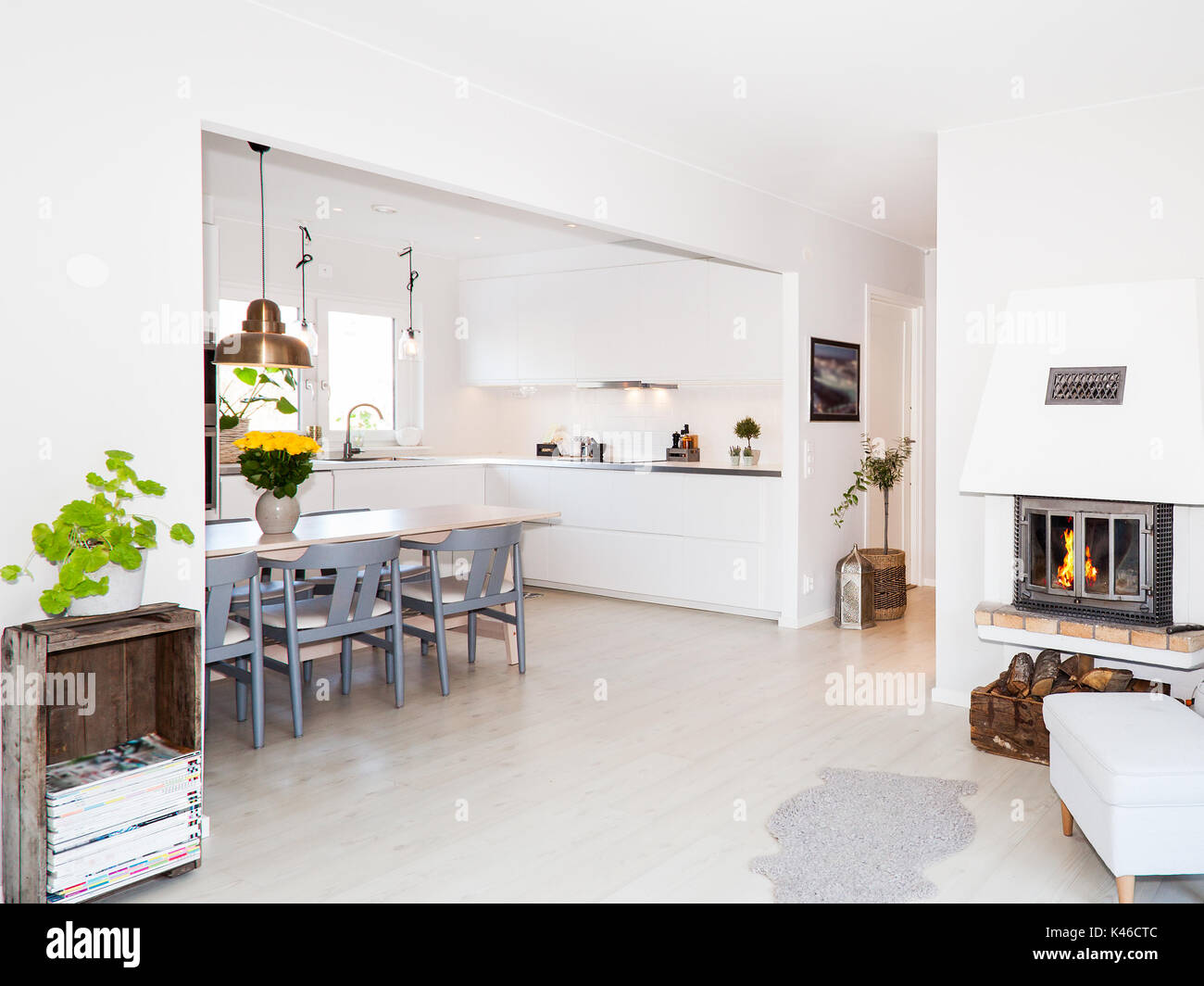 Fancy livingroom with lit fire in the fireplace and the kitchen in teh background