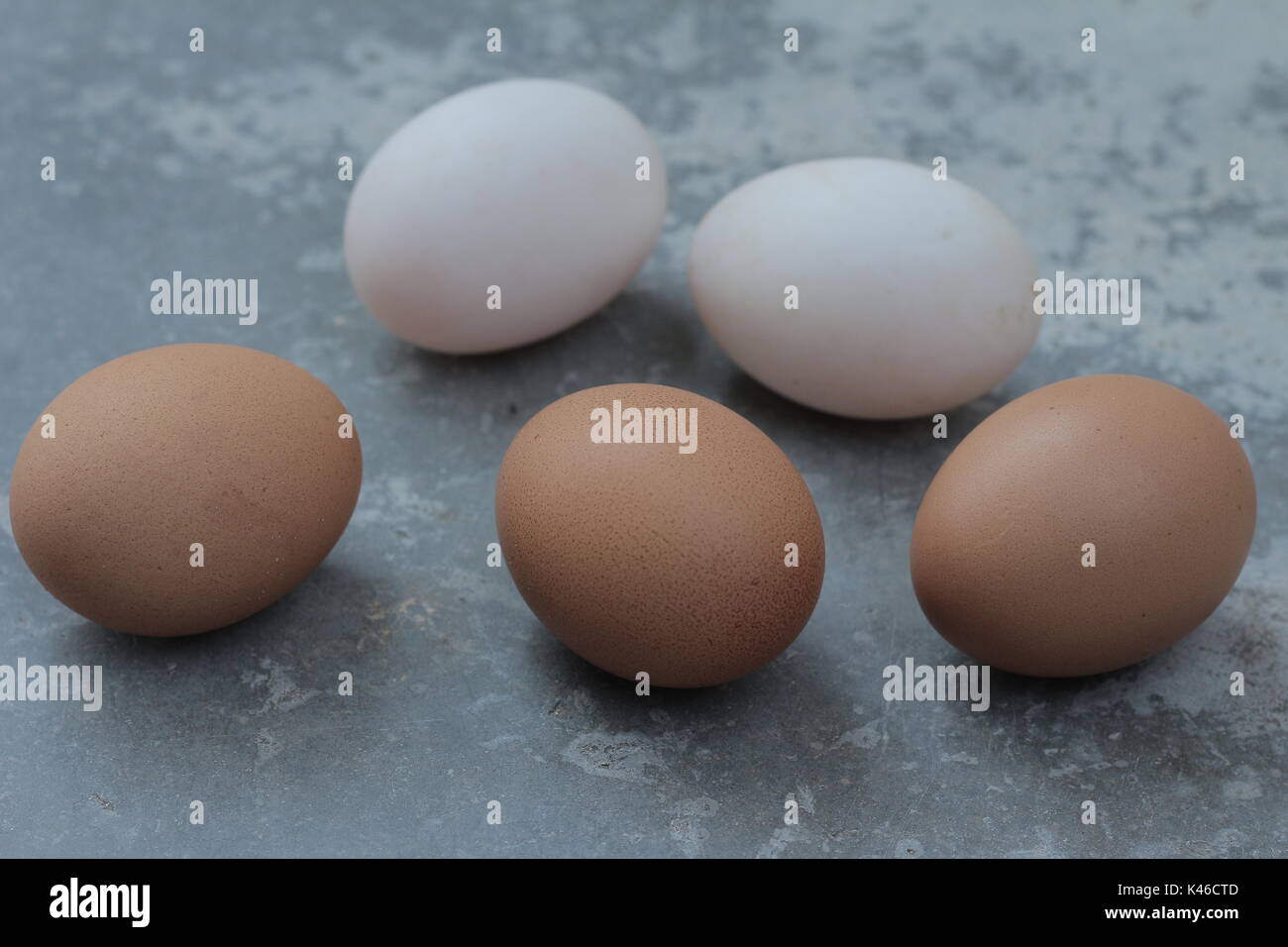 fresh hens eggs Stock Photo Alamy