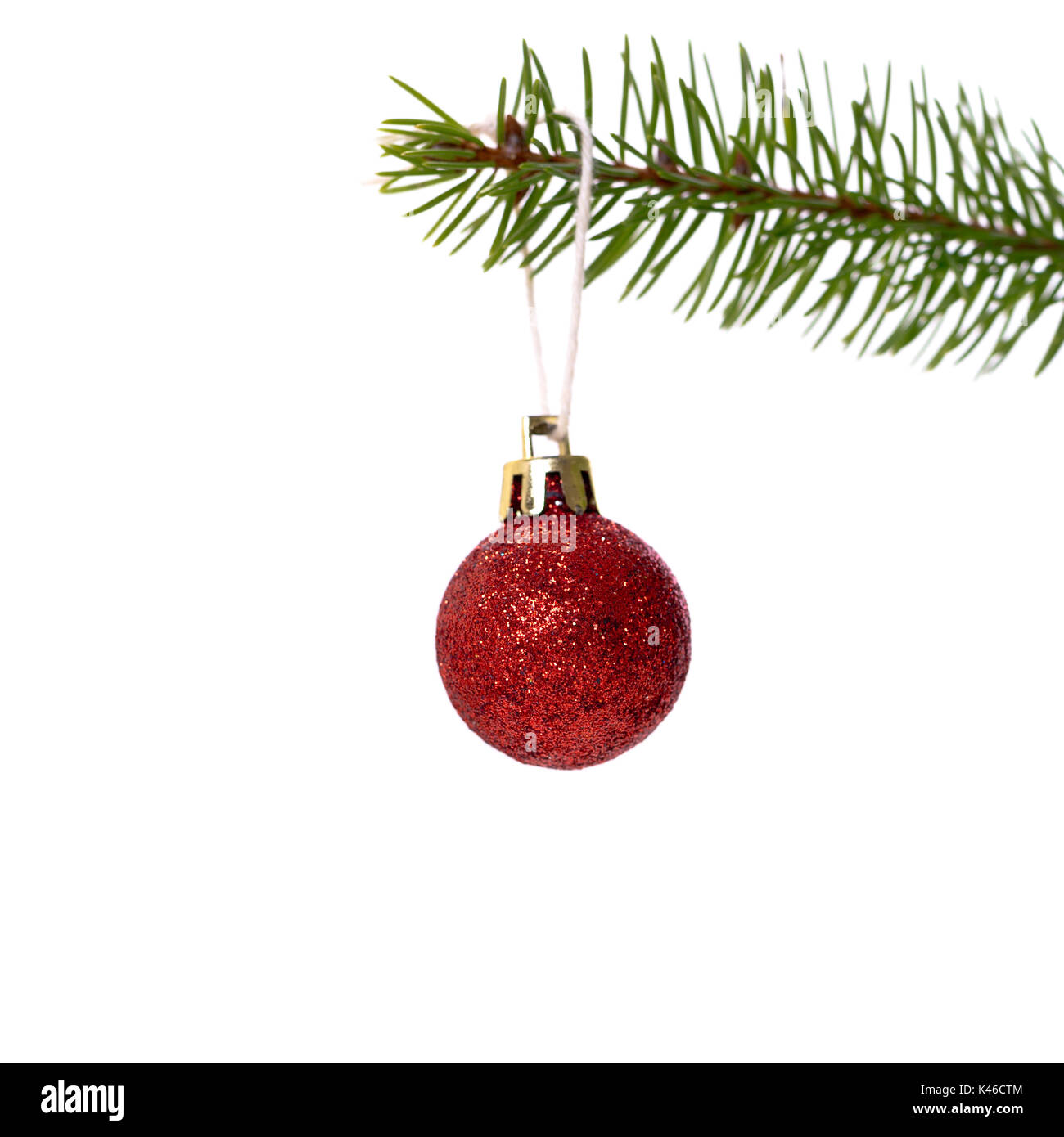 christmas ball hanging from a christmas tree twig isolated on white