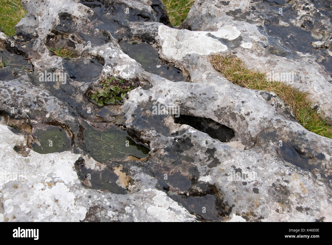 Derbyshire, UK- 8 March 2015 : Close up on a weather beaten ancient limestone sacrcen stone on 8 March  at Arbor Low Stone Circle, Peak District Stock Photo