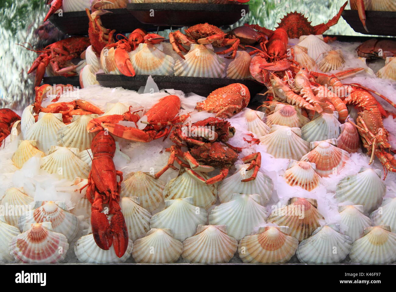 Lobsters on ice for sale on a fish market Stock Photo Alamy