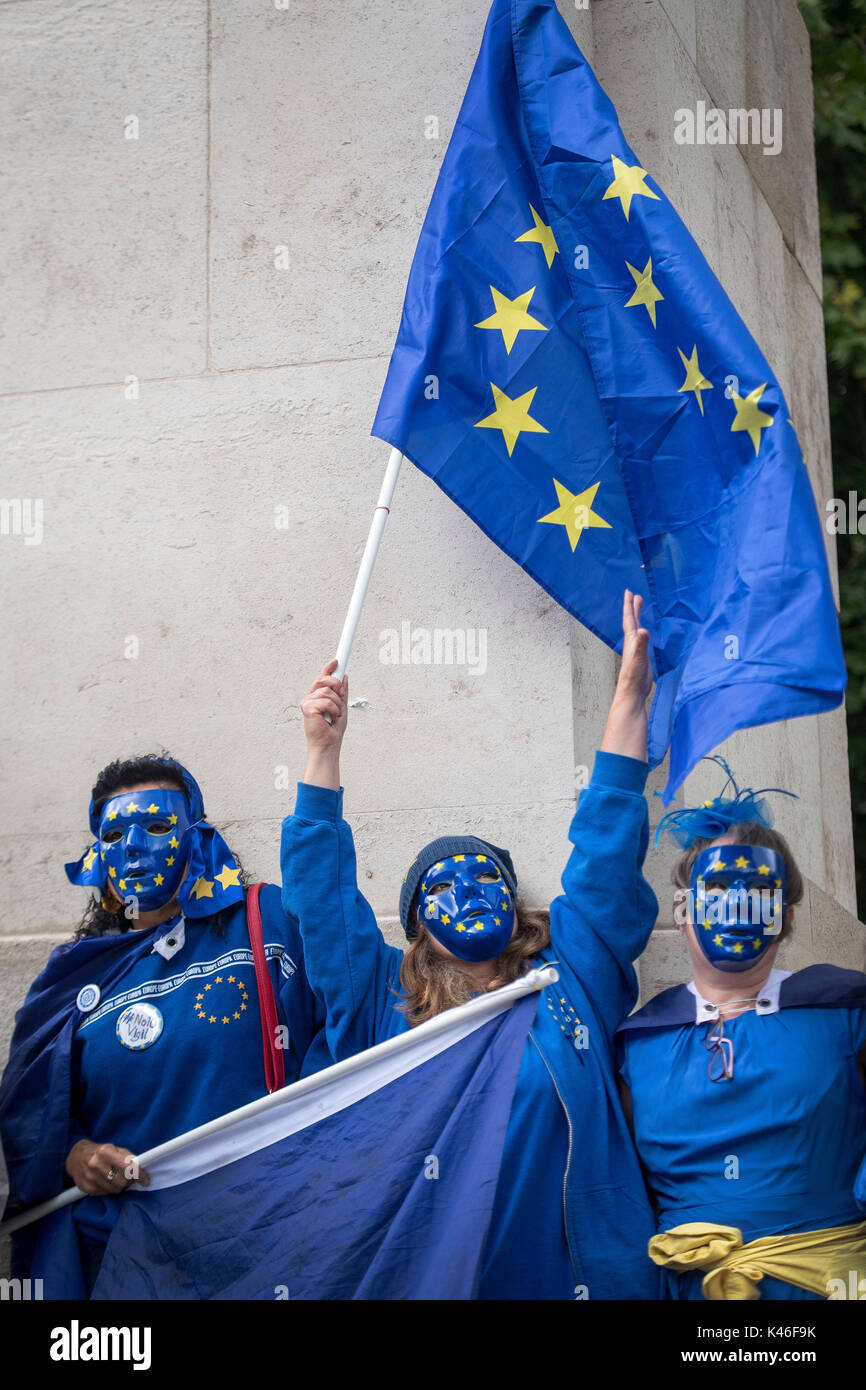 European Union Flag Mask European Union Flag Mask