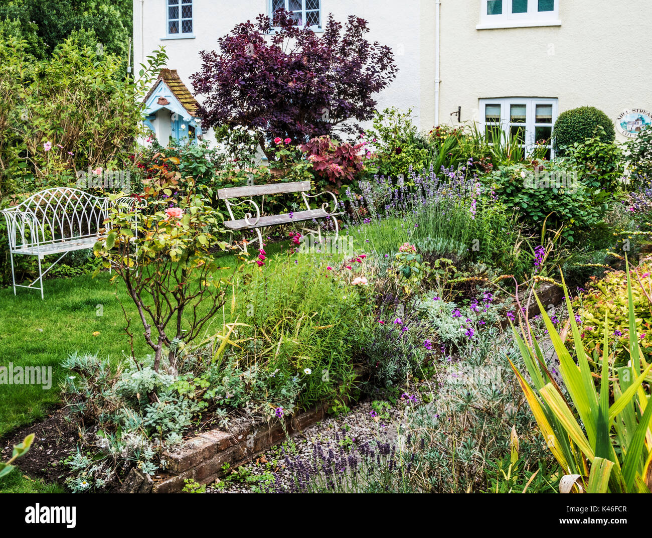 A rustic English cottage garden in Dunster near Minehead, Somerset. Stock Photo