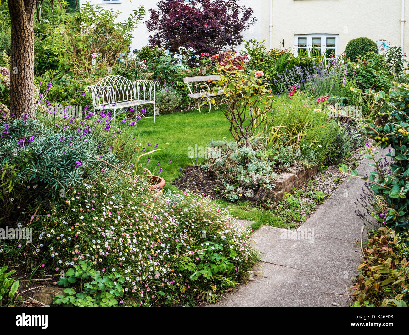 A rustic English cottage garden in Dunster near Minehead, Somerset. Stock Photo
