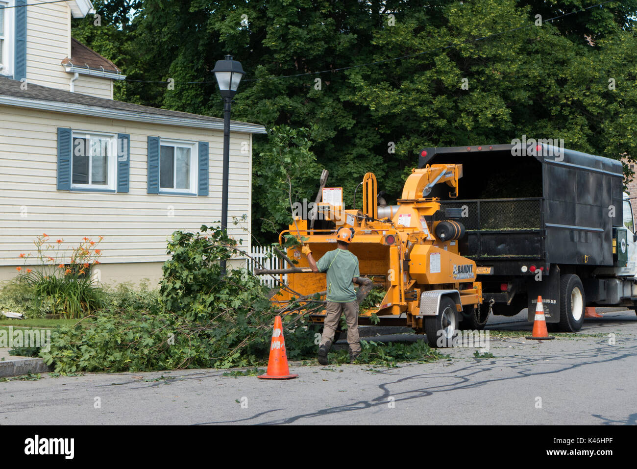 Heavy duty chipper and crew. Stock Photo