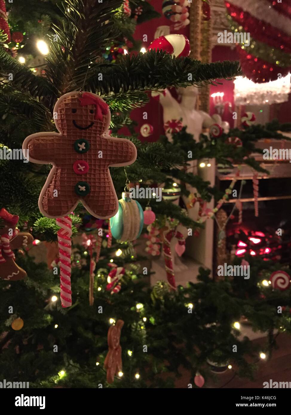 Gingerbread man decoration hangs from a traditional Christmas tree Stock Photo
