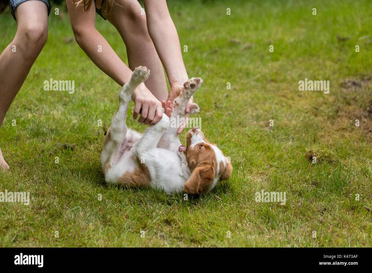 Ten year old girl playfully roughhousing with her two month old ...