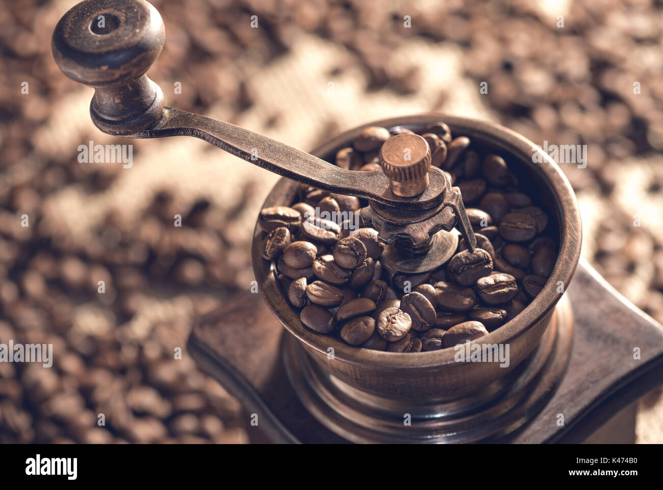 Roasted coffee beans in the coffee grinder. Stock Photo