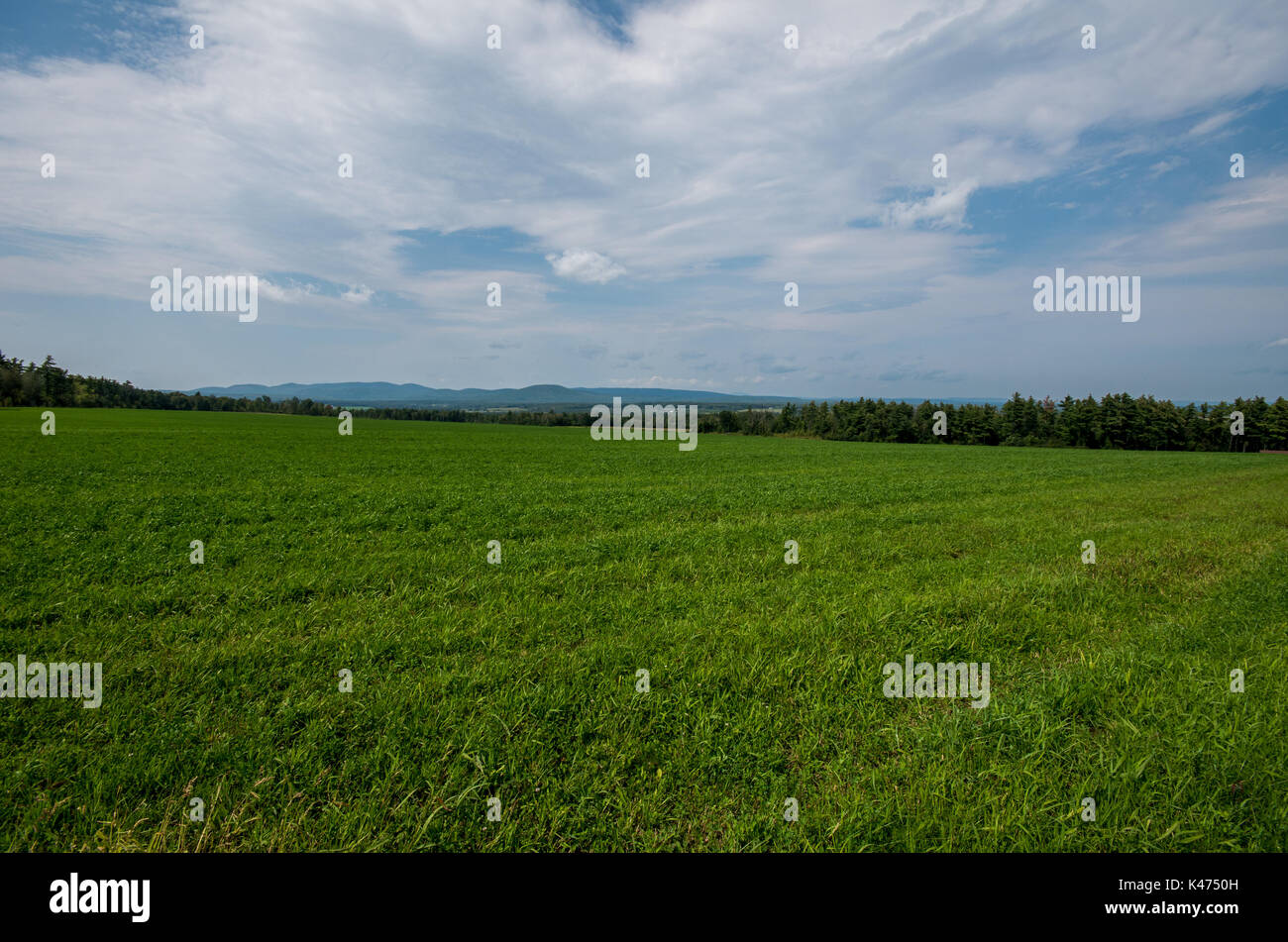 Large field with mountains in the background Stock Photo