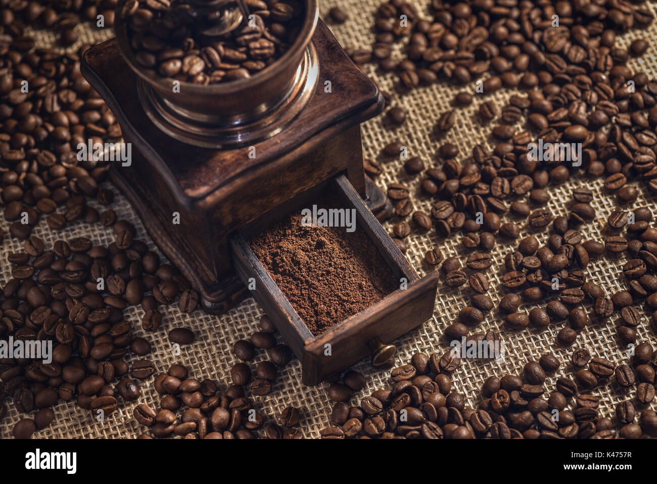 Roasted coffee beans in the coffee grinder. Stock Photo