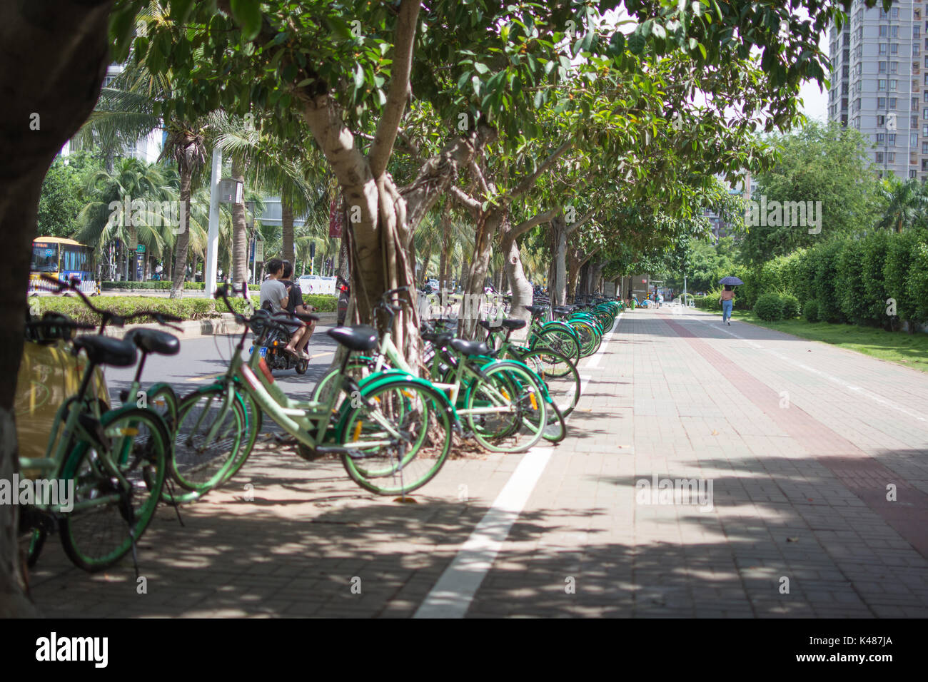 rental bikes in Haikou, china Stock Photo