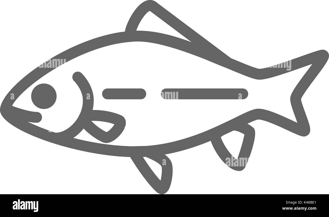 Simple fish and carp line icon. Symbol and sign vector illustration design.  Editable Stroke. Isolated on white background Stock Vector Image & Art -  Alamy