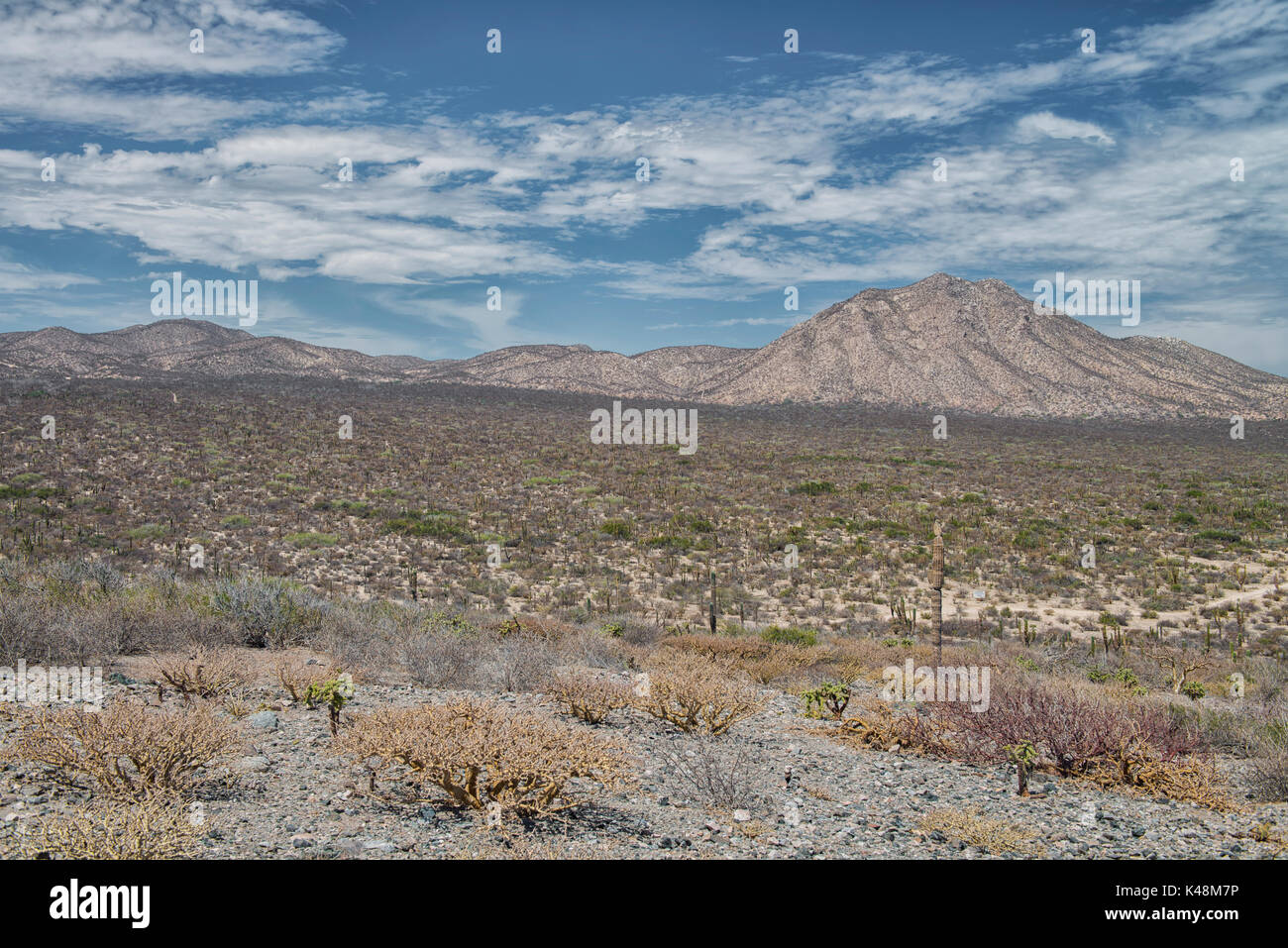 Bahía ensenada hi-res stock photography and images - Alamy