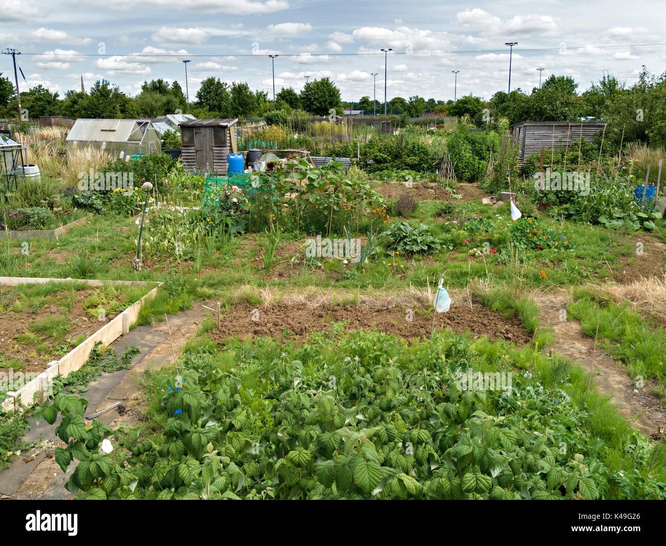 Cultivated lands hi-res stock photography and images - Alamy