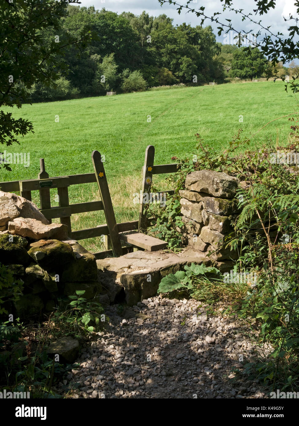 Wooden footpath stile with woods, green grass field and countryside beyond, Derbyshire, England, UK Stock Photo