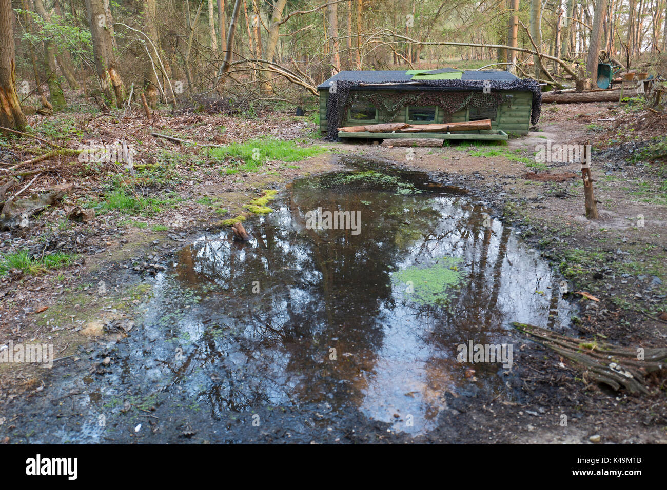 Pool hide in woodland with Stopsol one way glass Kettlestone Norfolk Stock Photo