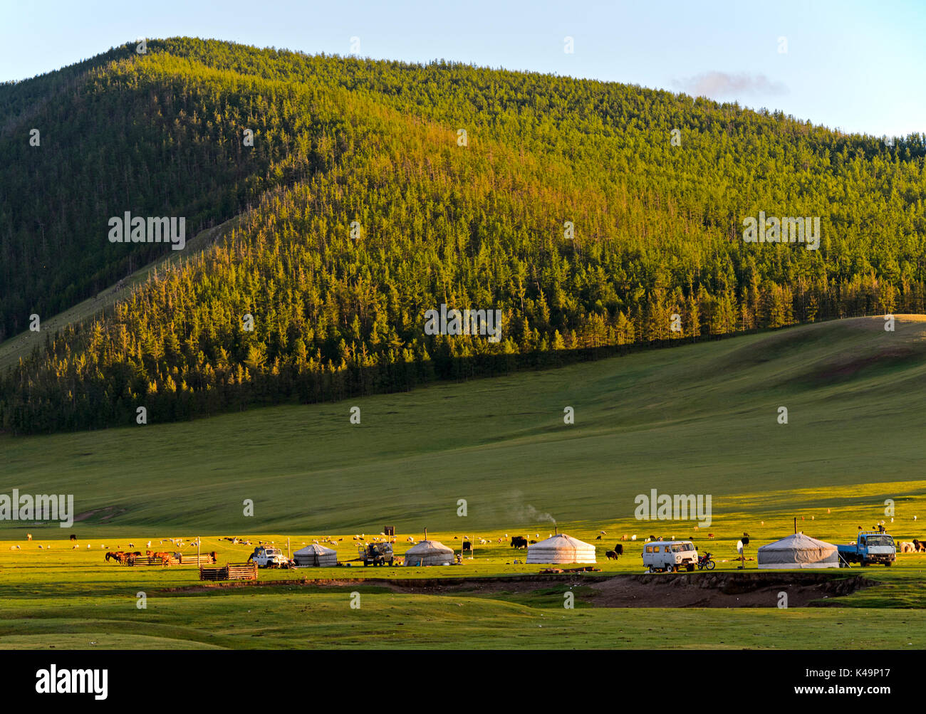 Forest Landscape With Nomad Camp In The Orkhon Valley, Mongolia Stock ...