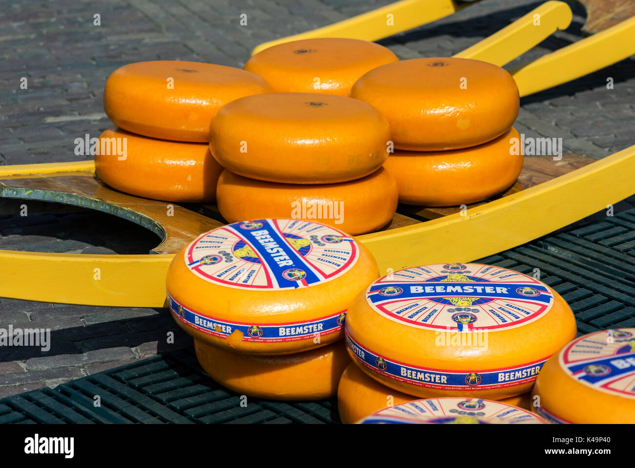 Rounds Of Dutch Beemster Cheese, Cheese Market Of Alkmaar, Netherlands Stock Photo