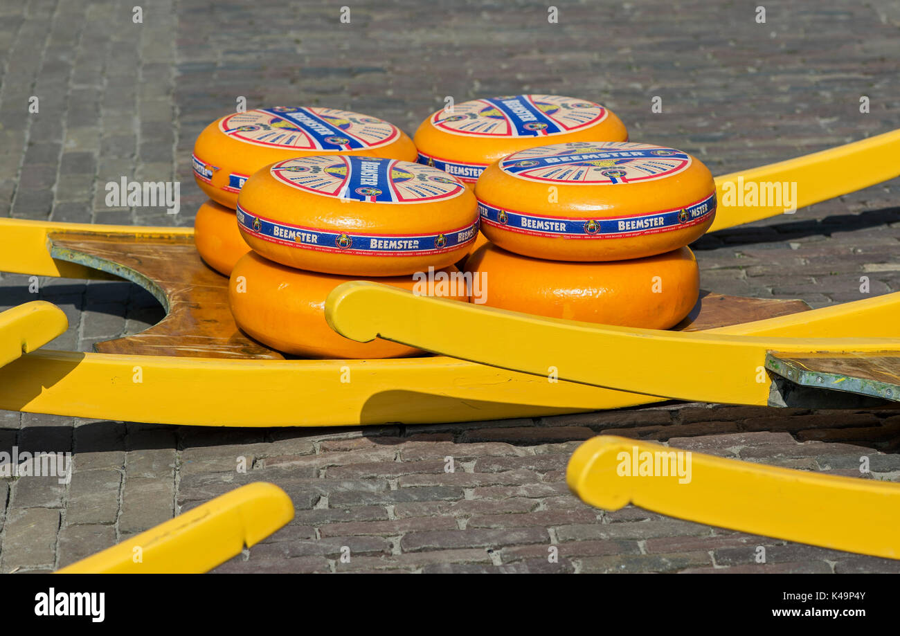 Rounds Of Dutch Beemster Cheese Wheels At The Cheese Market Of Alkmaar, Netherlands Stock Photo