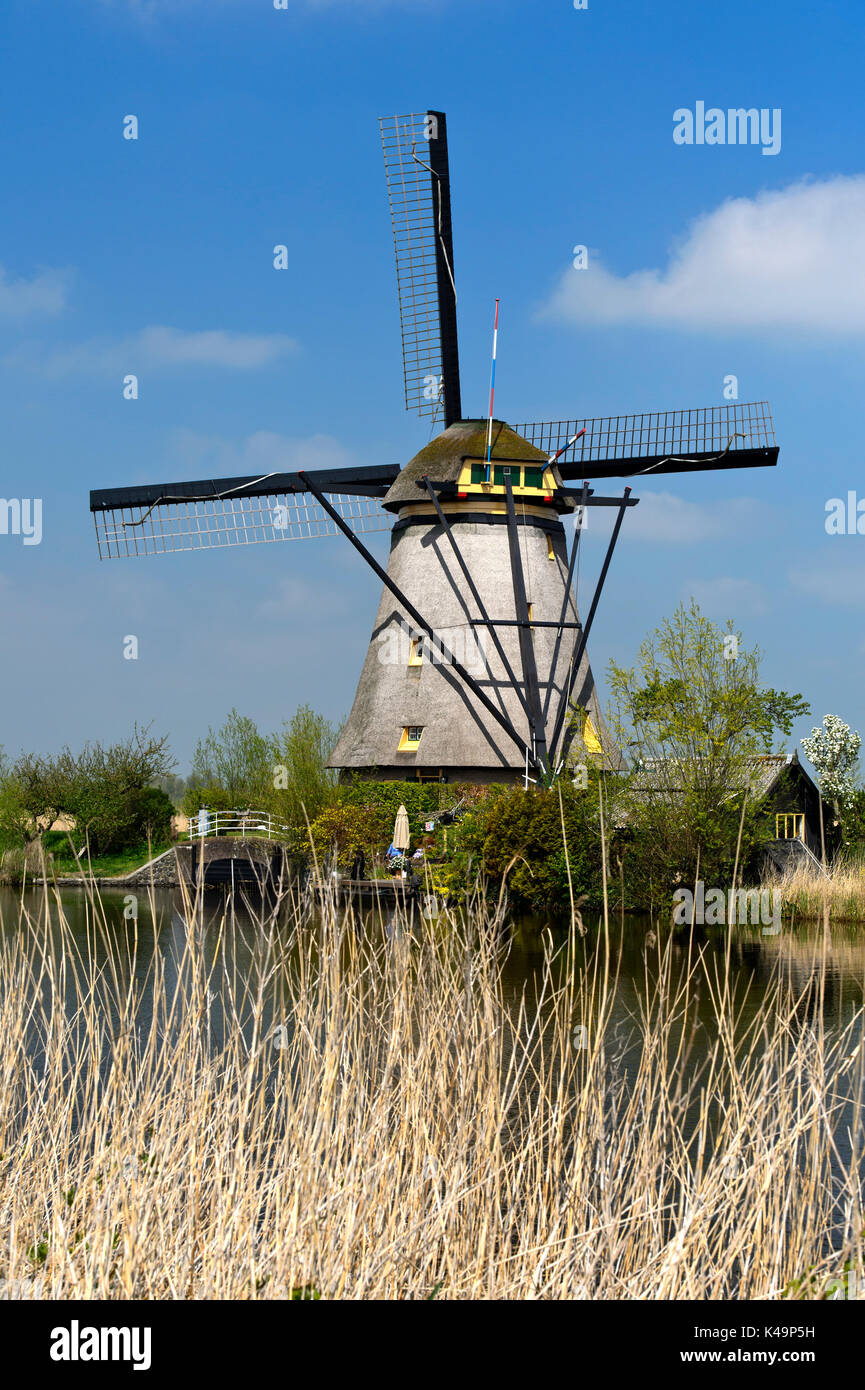 Dutch Windmill, Kinderdijk, South Holland, Netherlands Stock Photo