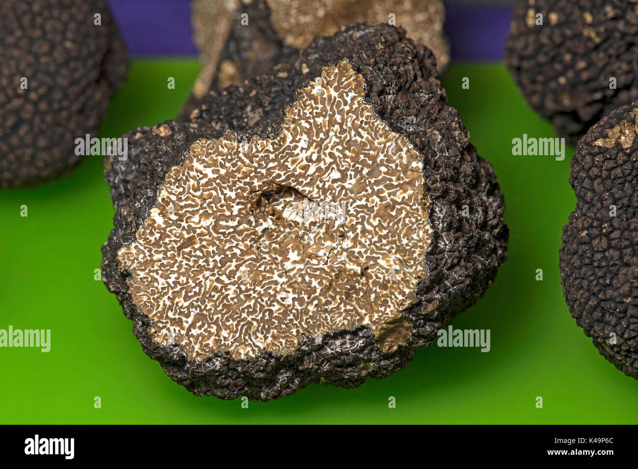 Burgundy Truffles, Truffle Market, Bonvillars, Switzerland Stock Photo