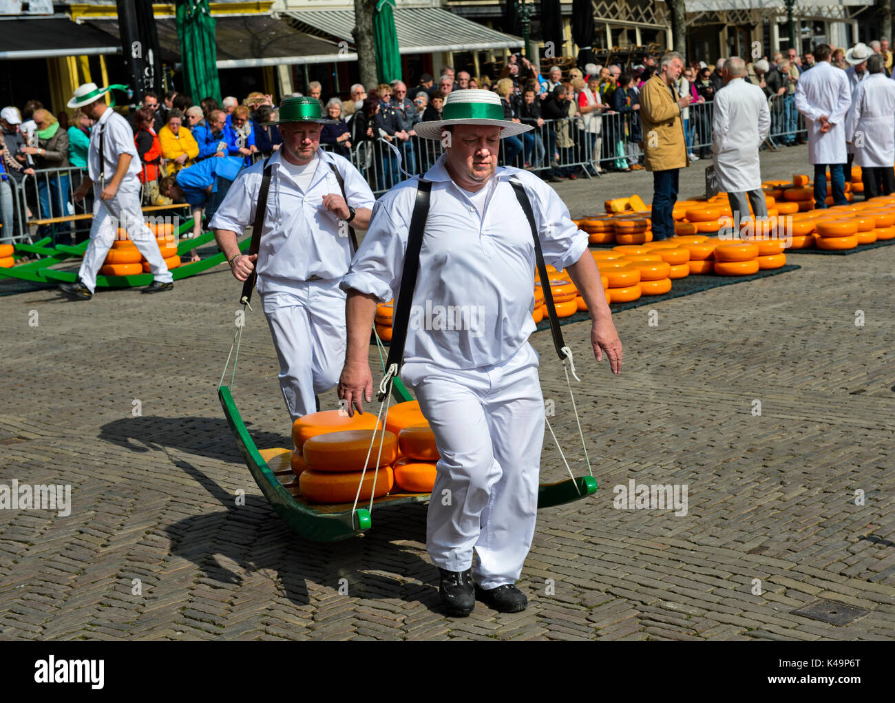 Cheese Porters Carrying Cheese Truckles At The Cheese Market Of Alkmaar, Netherlands Stock Photo