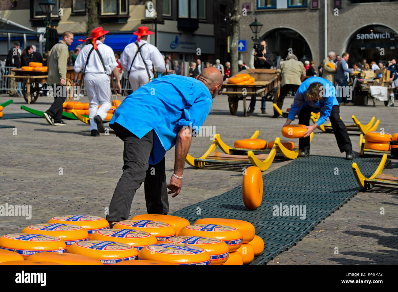 Cheese Truckles Are Rolled Over The Market Square, Cheese Market Alkmaar, Netherland Stock Photo