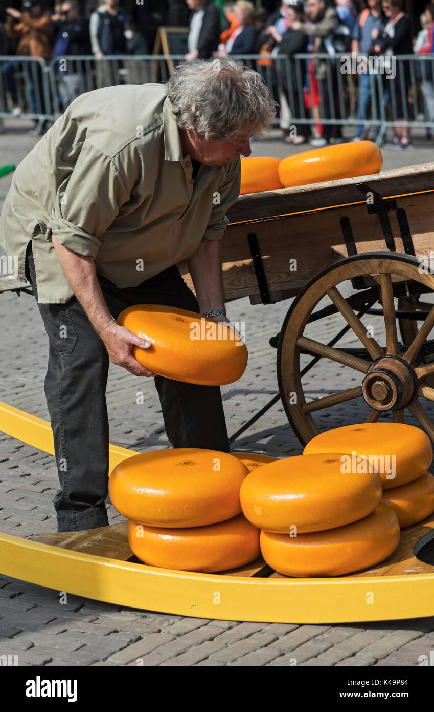 Cheese Market, Alkmaar, Stock Photo